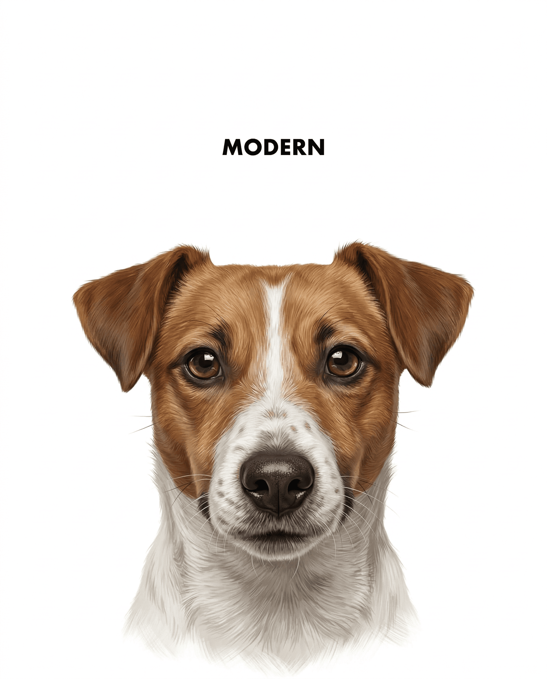 Modernized iPhone Look